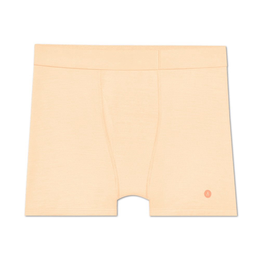 Allbirds Men's Trino® Boxer - Briefs Orange - CUV043678